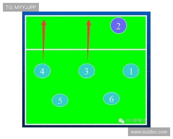 广州与武汉排球队赛后分析力量对比与战术解析